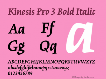 Kinesis Pro 3 Bold Italic Version 3.010;PS 1.006;hotconv 1.0.68;makeotf.lib2.5.35818图片样张