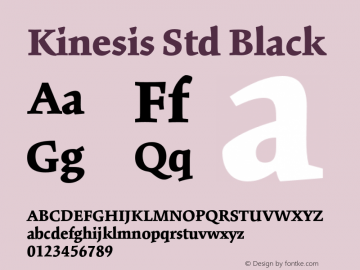 KinesisStd-Black Version 2.035;PS 002.000;hotconv 1.0.51;makeotf.lib2.0.18671图片样张