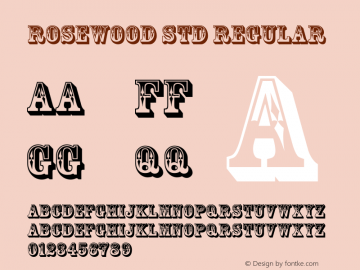RosewoodStd-Regular Version 2.025;PS 002.000;hotconv 1.0.50;makeotf.lib2.0.16970图片样张