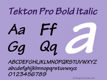TektonPro-BoldObl Version 2.020;PS 2.000;hotconv 1.0.51;makeotf.lib2.0.18671图片样张