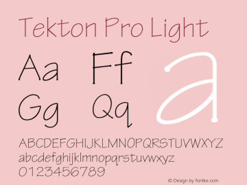 TektonPro-Light Version 2.020;PS 2.000;hotconv 1.0.51;makeotf.lib2.0.18671图片样张
