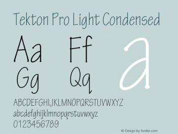 TektonPro-LightCond Version 2.020;PS 2.000;hotconv 1.0.51;makeotf.lib2.0.18671图片样张