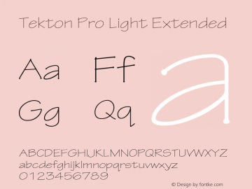 TektonPro-LightExt Version 2.020;PS 2.000;hotconv 1.0.51;makeotf.lib2.0.18671图片样张