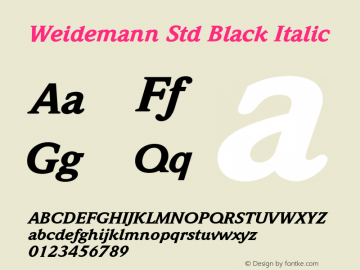 WeidemannStd-BlackItalic Version 2.031;PS 002.000;hotconv 1.0.50;makeotf.lib2.0.16970图片样张