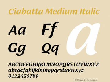 Ciabatta Medium Italic Version 1.000;PS 001.000;hotconv 1.0.88;makeotf.lib2.5.64775图片样张