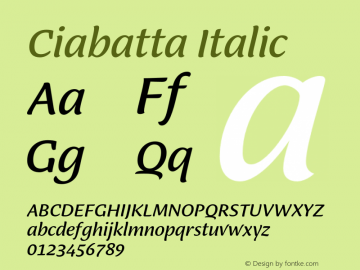 Ciabatta Regular Italic Version 1.000;PS 001.000;hotconv 1.0.88;makeotf.lib2.5.64775图片样张