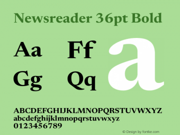 Newsreader 36pt Bold Version 1.003图片样张