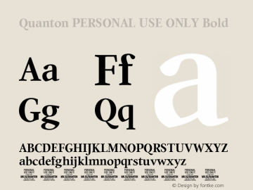 Quanton PERSONAL USE ONLY Bold Version 1.000;FEAKit 1.0图片样张