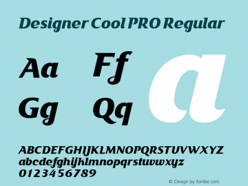 Designer Cool PRO Version 1.00 August 11, 2020, initial release图片样张