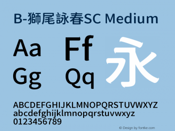 B-獅尾詠春SC Medium 图片样张