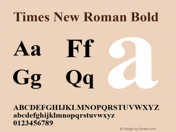 Times New Roman Bold Version 7.05图片样张