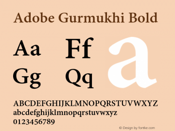 Adobe Gurmukhi Bold Version 1.010;PS 1.005;hotconv 1.0.70;makeotf.lib2.5.5900图片样张