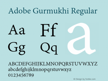 Adobe Gurmukhi Version 1.010;PS 1.005;hotconv 1.0.70;makeotf.lib2.5.5900图片样张