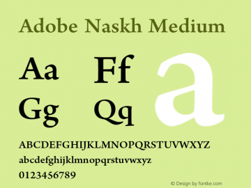 Adobe Naskh Medium Version 1.012;PS 1.000;hotconv 1.0.70;makeotf.lib2.5.58329图片样张