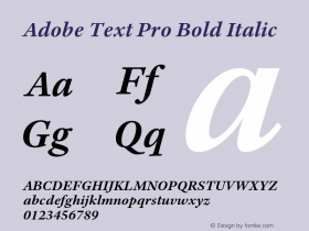 AdobeTextPro-BoldIt Version 1.015;PS 1.000;hotconv 1.0.57;makeotf.lib2.0.21895图片样张