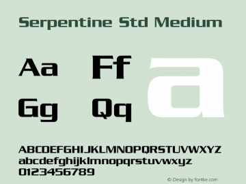 SerpentineStd-Medium Version 2.077;PS 005.000;hotconv 1.0.67;makeotf.lib2.5.33168图片样张