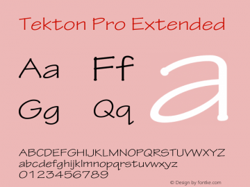 TektonPro-Ext Version 2.073;PS 2.000;hotconv 1.0.70;makeotf.lib2.5.5900图片样张