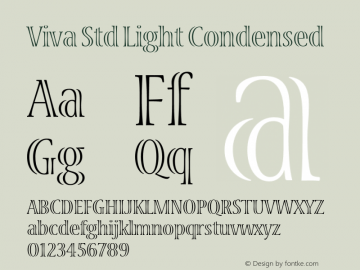 VivaStd-LightCondensed Version 2.077;PS 002.000;hotconv 1.0.67;makeotf.lib2.5.33168图片样张