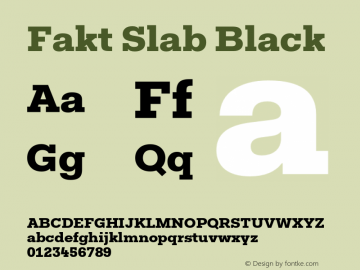FaktSlab-Black Version 3.001图片样张
