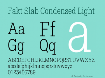 FaktSlabCondensed-Light Version 3.001图片样张