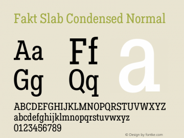 FaktSlabCondensed-Normal Version 3.001图片样张