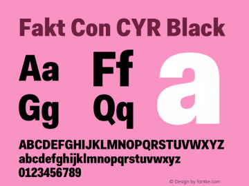 Fakt Con CYR Black Version 4.001; build 0001图片样张