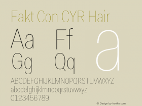 Fakt Con CYR Hair Version 4.001; build 0001图片样张