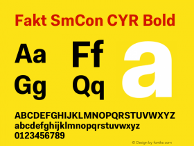 Fakt SmCon CYR Bold Version 4.001; build 0001图片样张