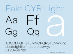 FaktCYR-Light Version 4.001; build 0001图片样张