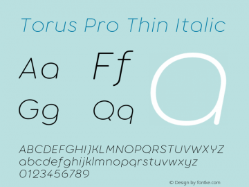 Torus Pro Thin Italic Version 1.100;FEAKit 1.0图片样张