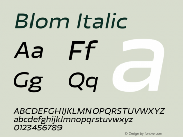 Blom Italic Version 001.000 January 2020图片样张