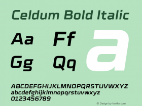 Celdum-BoldItalic Version 1.000;PS 001.000;hotconv 1.0.88;makeotf.lib2.5.64775图片样张