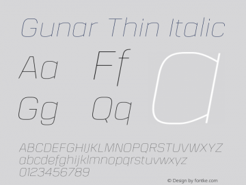 Gunar Thin Italic Version 1.000;PS 001.000;hotconv 1.0.70;makeotf.lib2.5.58329图片样张