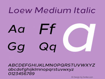 Loew Medium Italic Version 1.000;PS 001.000;hotconv 1.0.70;makeotf.lib2.5.58329图片样张