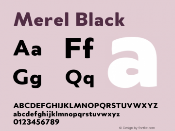 Merel Black Version 1.000;PS 001.000;hotconv 1.0.70;makeotf.lib2.5.58329图片样张