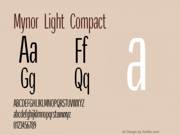 Mynor Light Compact Version 001.000 January 2019图片样张