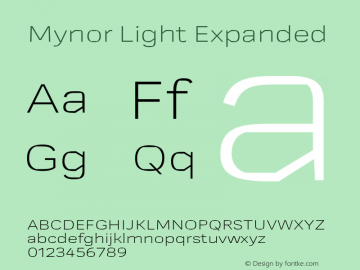 Mynor Light Expanded Version 001.000 January 2019图片样张