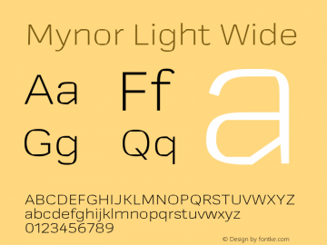 Mynor Light Wide Version 001.000 January 2019图片样张