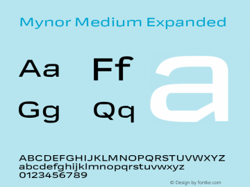 Mynor Medium Expanded Version 001.000 January 2019图片样张