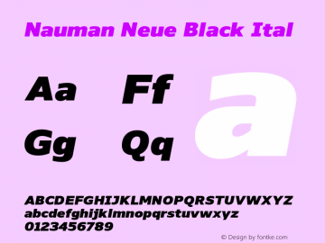 Nauman Neue Black Ital Version 001.001 January 20201图片样张