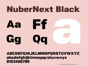 NuberNext Black Version 001.002 February 2020图片样张