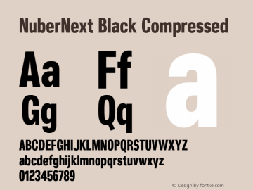 NuberNext Black Compressed Version 001.002 February 2020图片样张