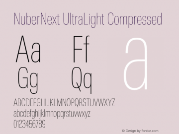 NuberNext UltraLight Compressed Version 001.002 February 2020图片样张