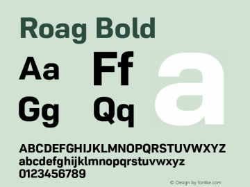 Roag Bold Version 001.000 October 2019图片样张