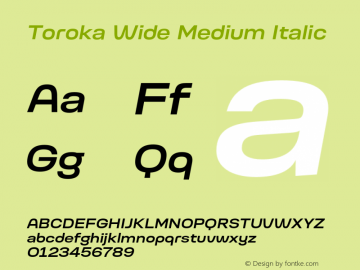 Toroka Wide Medium Italic Version 001.000 April 2021图片样张
