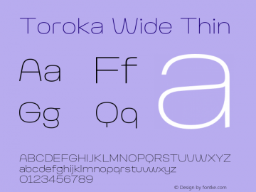Toroka Wide Thin Version 001.000 April 2021图片样张