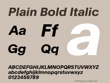 Plain Bold Italic Version 2.002图片样张