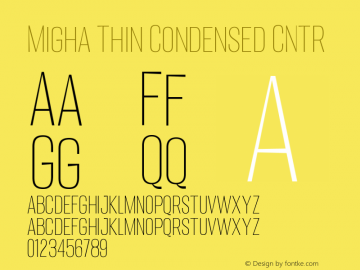 Migha-ThinCondensedCNTR Version 1.000图片样张