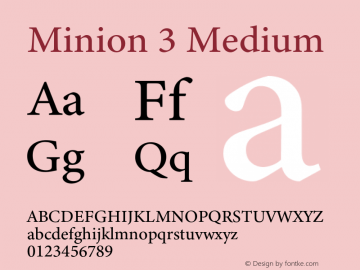 Minion 3 Medium Version 1.021;hotconv 1.0.105;makeotfexe 2.5.65591图片样张
