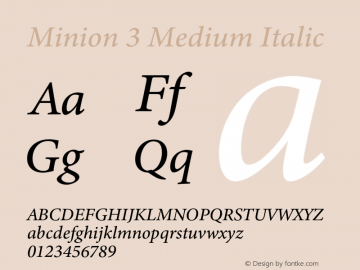 Minion 3 Medium Italic Version 1.021;hotconv 1.0.105;makeotfexe 2.5.65591图片样张